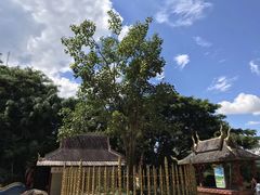 -西双版纳勐泐文化旅游区