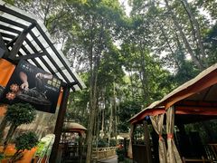 -二荆条·蜀鲜汇城市森林火锅