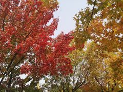 -青州市云门山风景区