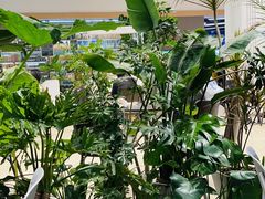 -M Stand(宁波万象城店)