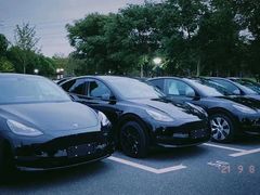 -TESLA 特斯拉(上海太古汇体验店)