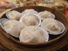 -杨姨妈丝娃娃(花果园店)