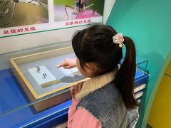 -上海昆虫博物馆