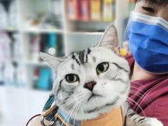 -纳吉亚猫专科动物医院博雅分院
