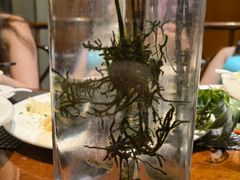 -蜈支洲岛珊瑚酒店临海阁中餐厅