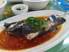 清蒸老虎斑-景好海鲜餐厅(大鹏必选旅游店)