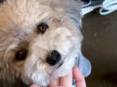 -丘中有甜(乐清·江南里店)