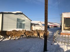 -塞罕坝国家级自然保护区