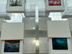 -罗红摄影艺术馆