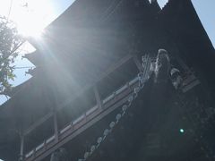 -杭州半山国家森林公园