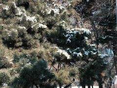 -长春市南湖公园