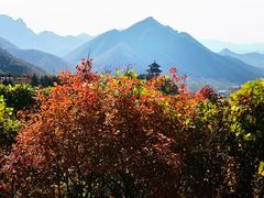 -狼牙山风景区