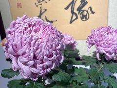 -汇龙潭