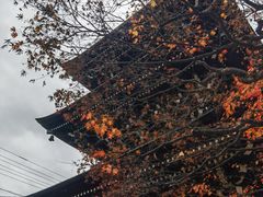-医王山·飞騨国分寺