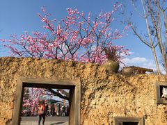 -黄龙溪欢乐田园