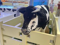 -红星前进面包牛奶公司(君太店)