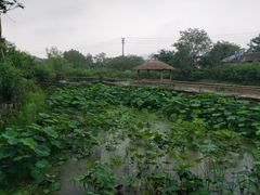 -驿舍·民國老营房院子私房菜(科学会堂店)