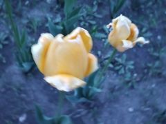 -长春公园(普阳街道)