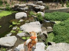 -白水寺森林公园