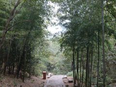 -穹窿山景区