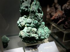 -中国地质博物馆
