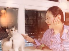 -有猫主题·治愈系猫咖(曾厝垵店)