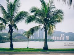 -情侣路