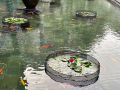 -三亚湾海居铂尔曼度假酒店