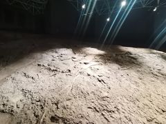 -世界恐龙谷景区