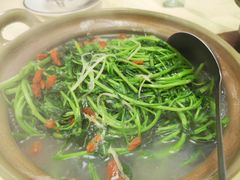 上汤西洋菜-蚝家菜馆(沙井店)