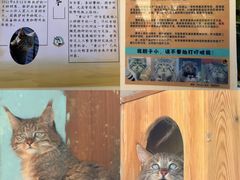 -青藏高原野生动物园