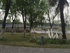 picture-太阳岛度假酒店