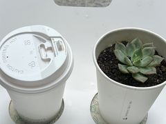 -王府半岛酒店