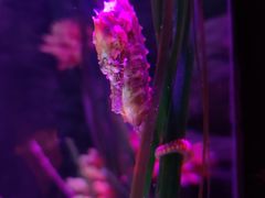 -沈阳海洋探索中心