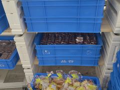 -来噻布布 Lets BUBU