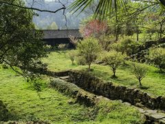 -唐崖土司城遗址