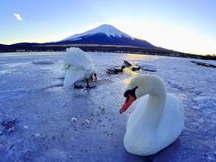 -富士山吉田線五合目