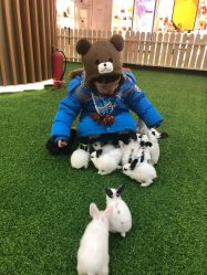 -萌宠亲子动物乐园(槐房万达店)