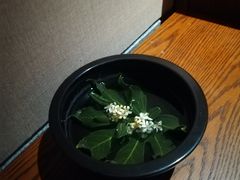-丽江金茂隐逸酒店-凯悦臻选SPA
