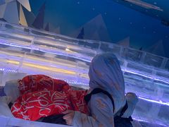 -西安银基冰雪世界