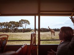 -威勒比开放式动物园