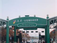 -荷兰花海
