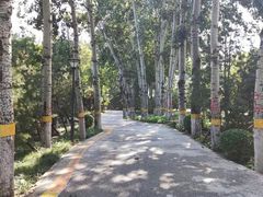 -康庄公园