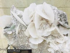 -中国地质博物馆