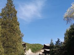 -藏山旅游风景区
