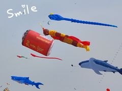 -潍坊滨海云门国际风筝放飞场