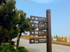 -日照海滨国家森林公园