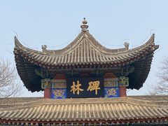 -西安碑林博物馆