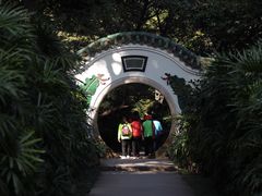 -广州兰圃
