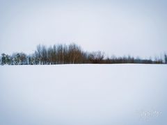 -丁香湖公园